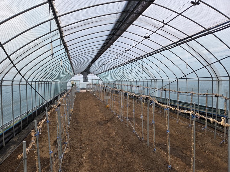 구기자 양분관리, 토양분석 후 정밀 ...